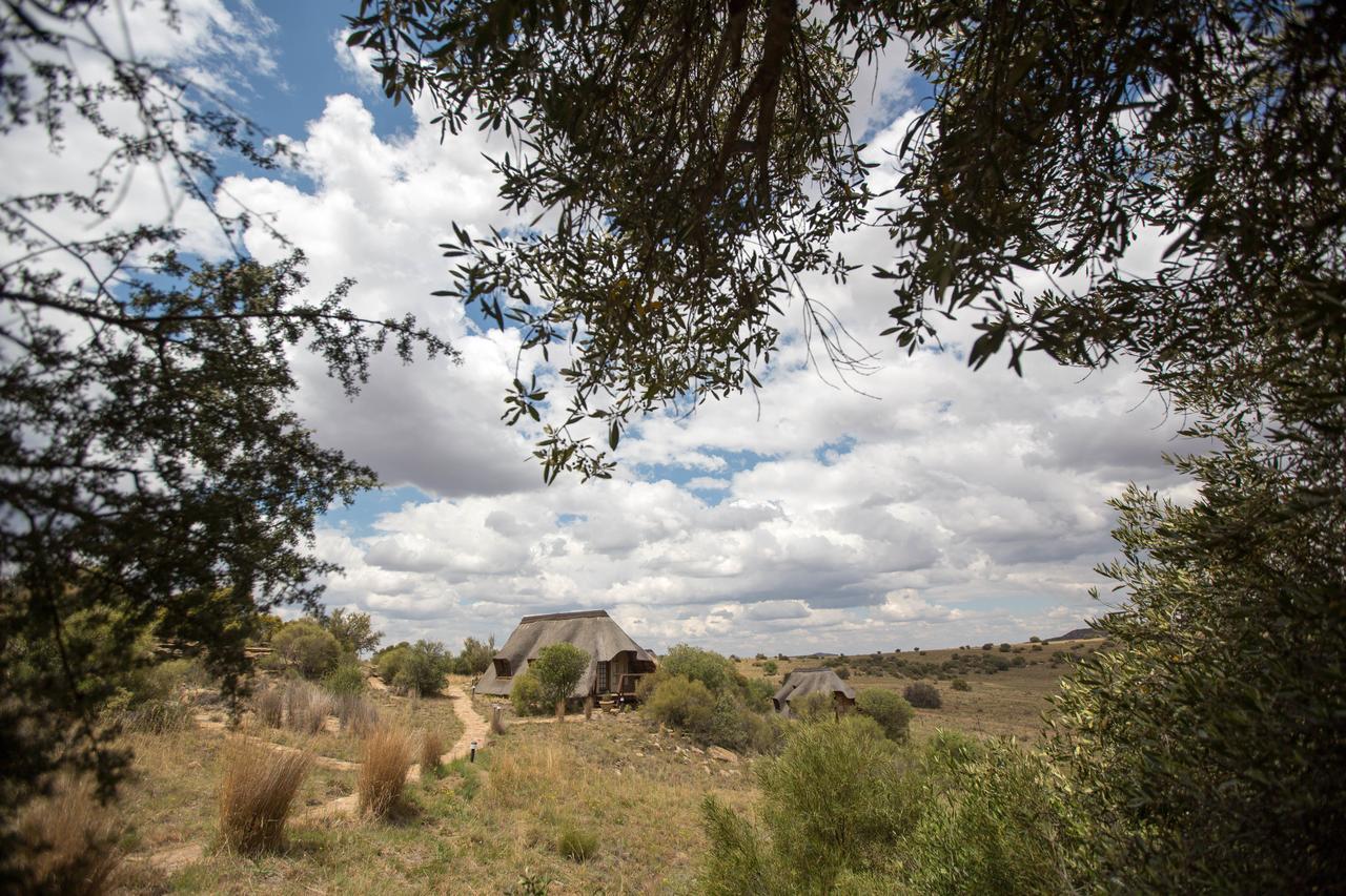 Letsatsi Game Lodge Smithfield Extérieur photo